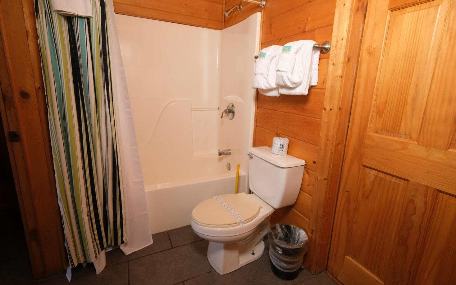Skinny Dipping Villa Gatlinburg